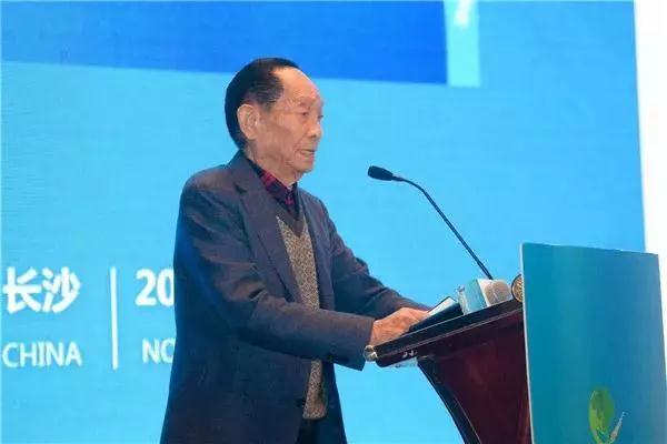 世界杂交水稻之父——袁隆平.jpg